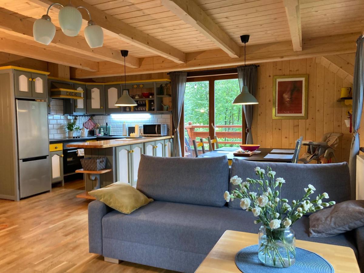 Mountain Dream Apartment Кошелско Екстериор снимка