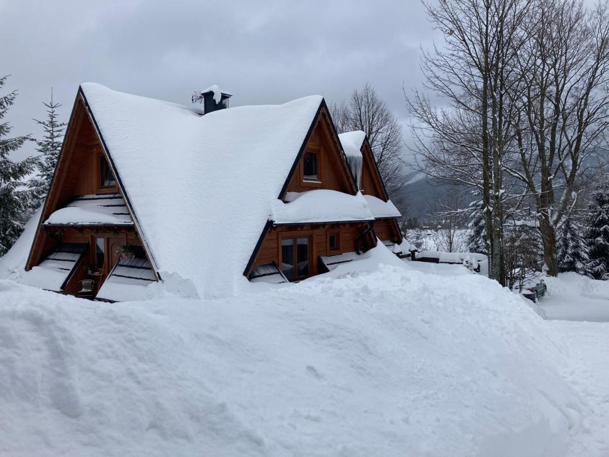 Mountain Dream Apartment Кошелско Екстериор снимка
