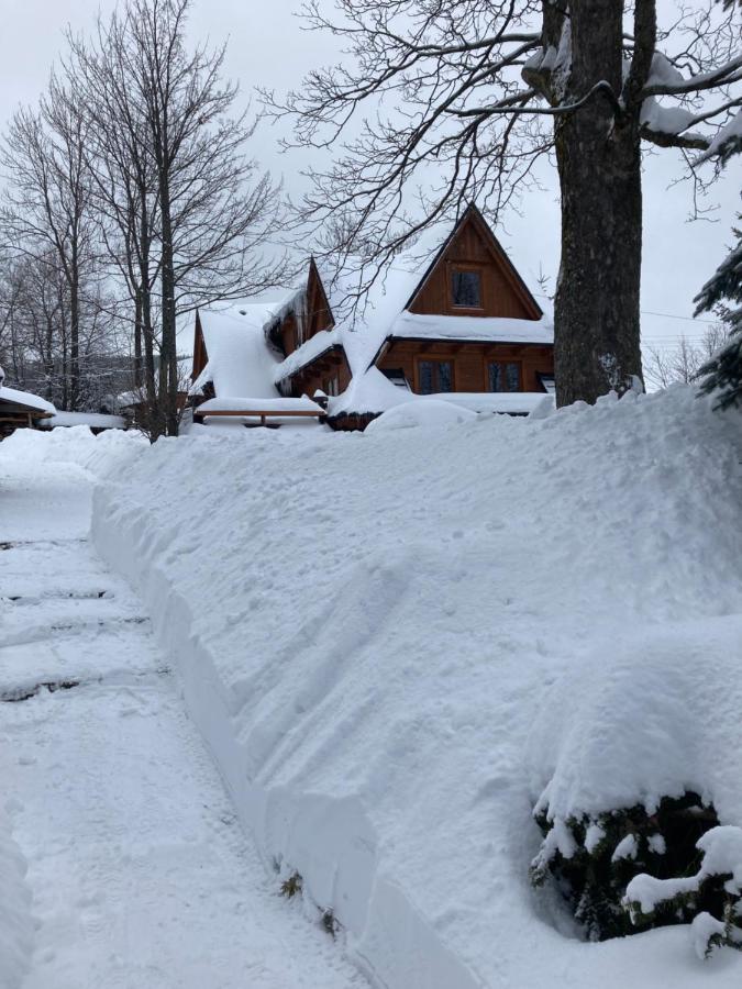 Mountain Dream Apartment Кошелско Екстериор снимка