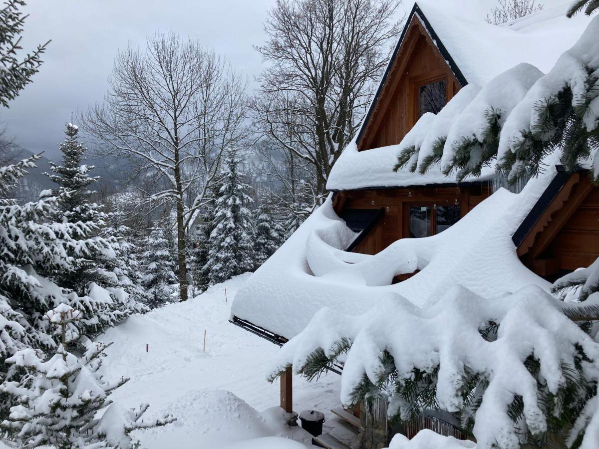 Mountain Dream Apartment Кошелско Екстериор снимка